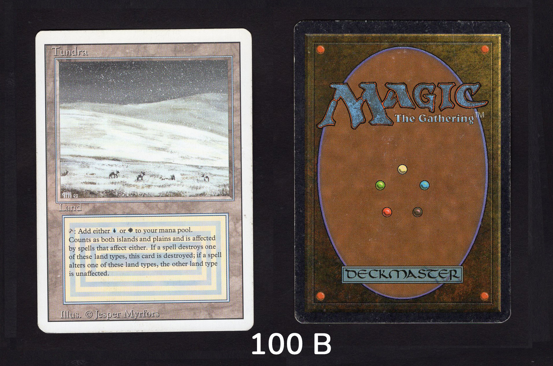 Tundra - #100b